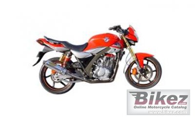 Tiger Boxer 250 RS 2011