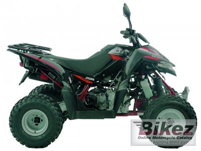 Triton Baja 250 2011