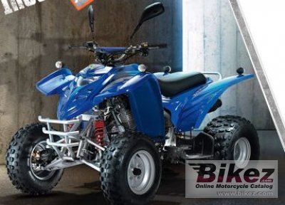 Fokamo ATV 300 Interceptor 2010
