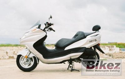 Diamo Turista 300 2008