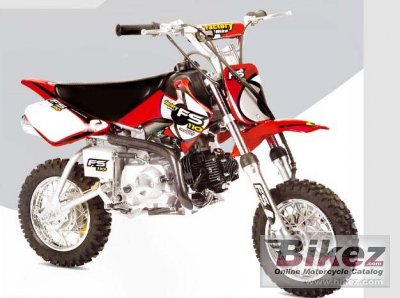 Factory Bike MiniDesert FS110 4t 2008