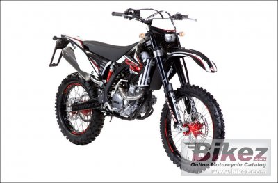GAS GAS EC 250 4T 2010