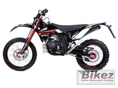 GAS GAS EC 300 2T 2010