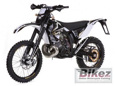 GAS GAS EC 300 2T Racing 2010
