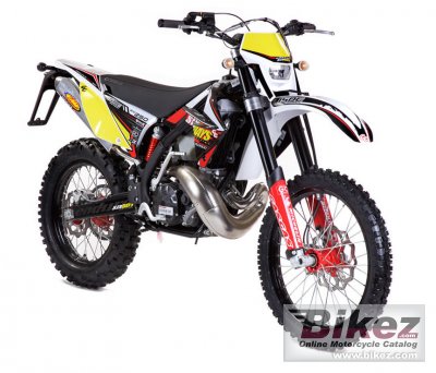 GAS GAS EC 300 2TSix-Days 2010