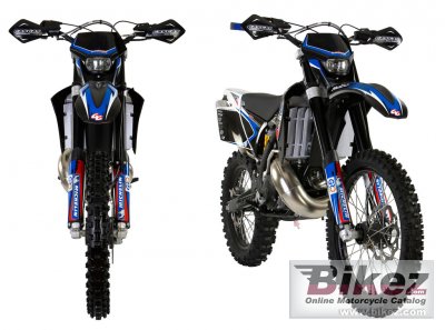 GAS GAS EC 300 Racing 2009