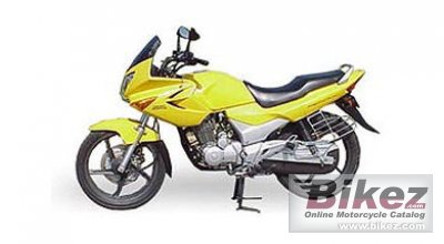 Hero Honda Karizma 2007