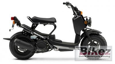 Honda Ruckus 2008