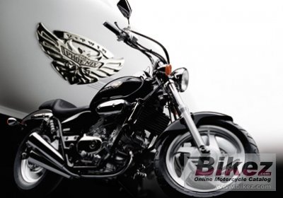 Honda V-Twin Magna 2006