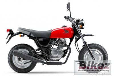 Honda Ape 100 2011