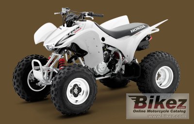 Honda TRX300X 2010