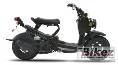 Honda Ruckus 2007