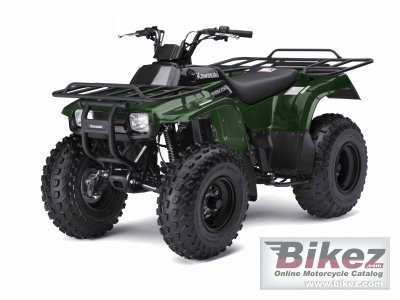 Kawasaki Bayou 250 2009
