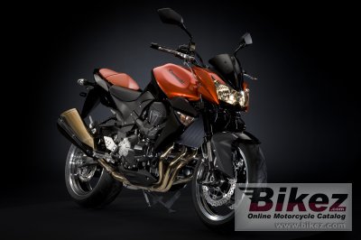 Kawasaki Z1000 2009