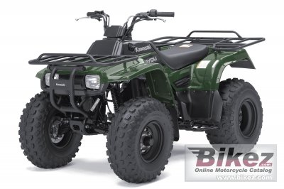 Kawasaki Bayou 250 2011