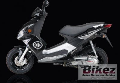 Kreidler Florett RMC-G 125 Race 2008