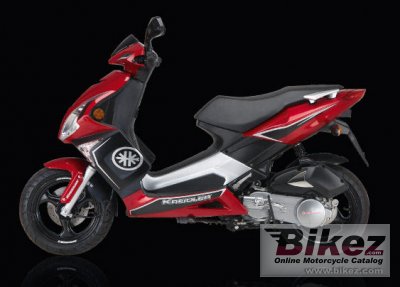 Kreidler Florett RMC-G 50 Race 2008