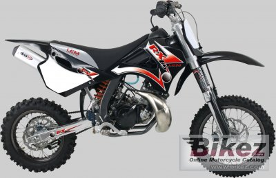 Lem RX 65 2007