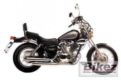 Lifan Delta 250cc V Twin 2009